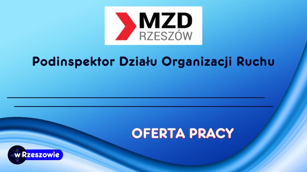 Podinspektor Działu Organizacji Ruchu